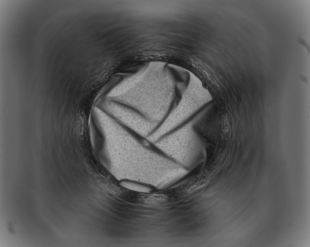 X0000091450463200709131718