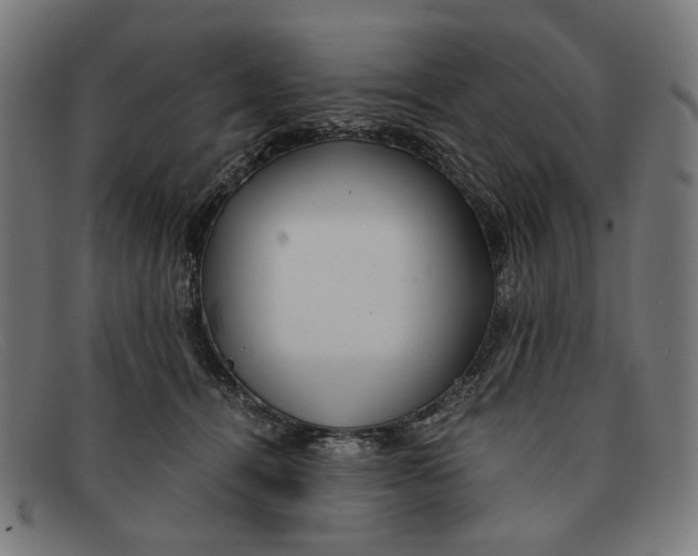 X0000091450464200709131718