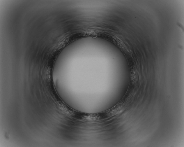 X0000091450466200709131718
