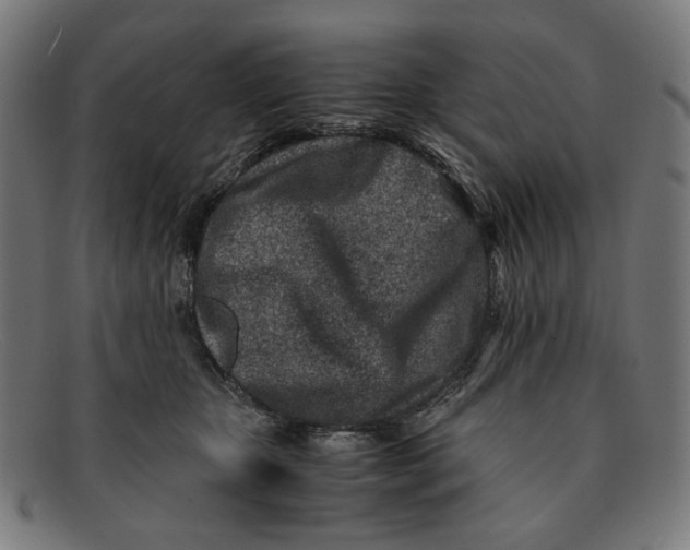 X0000091450467200709131718