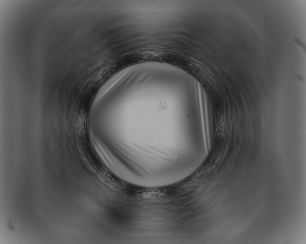 X0000091450468200709131718
