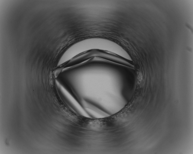 X0000091450470200709131718