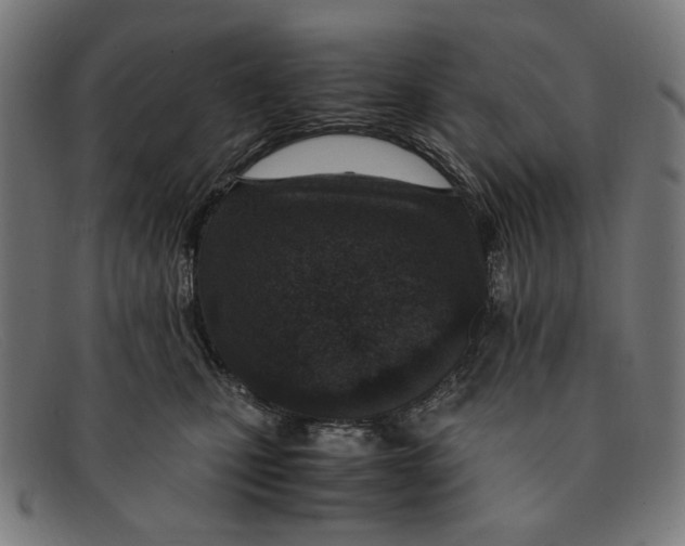 X0000091450471200709131718