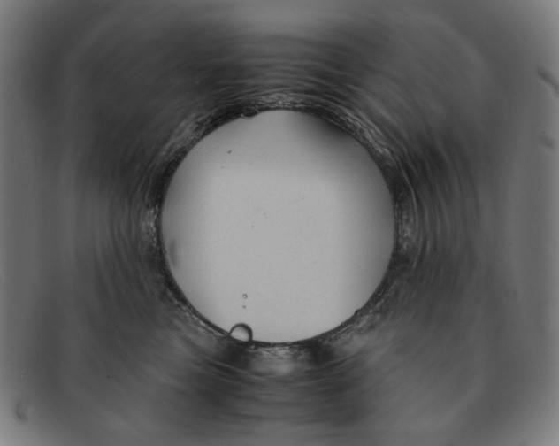 X0000091450473200709131718