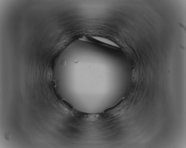 X0000091450474200709131718