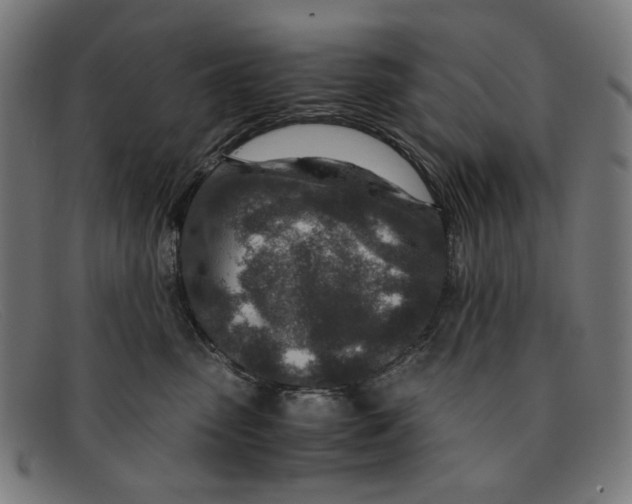X0000091450475200709131718