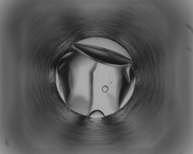 X0000091450478200709131718