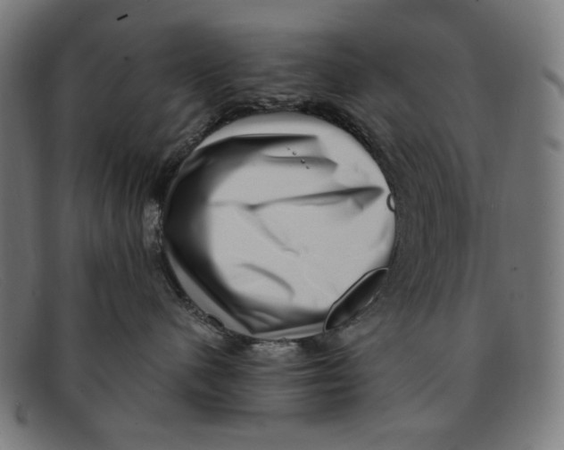 X0000091450480200709131718