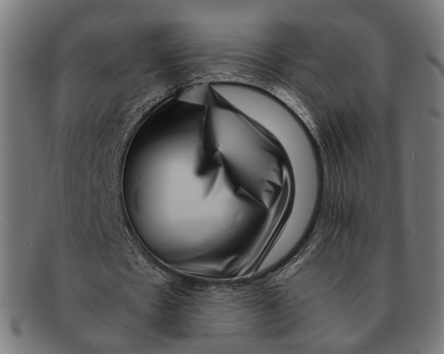 X0000091450481200709131718