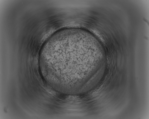 X0000091450487200709131718