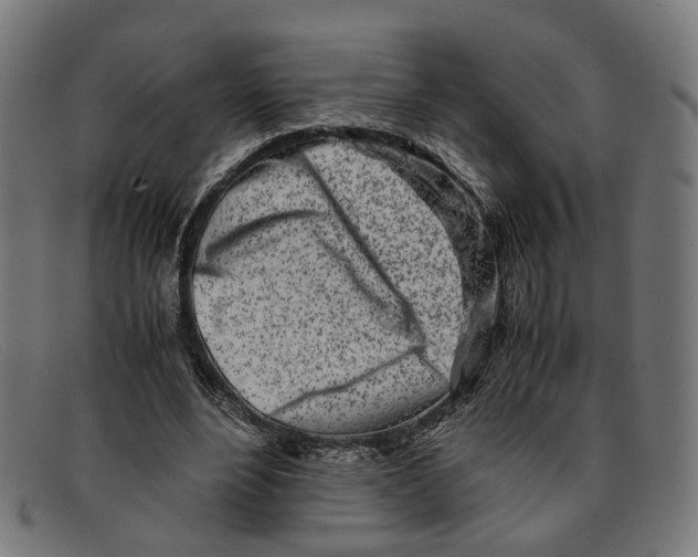 X0000091450488200709131718