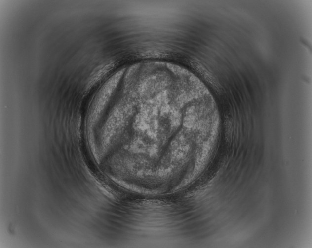 X0000091450490200709131718