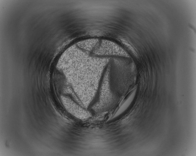 X0000091450492200709131718