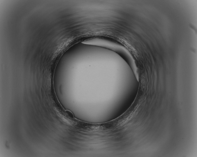 X0000091450493200709131718