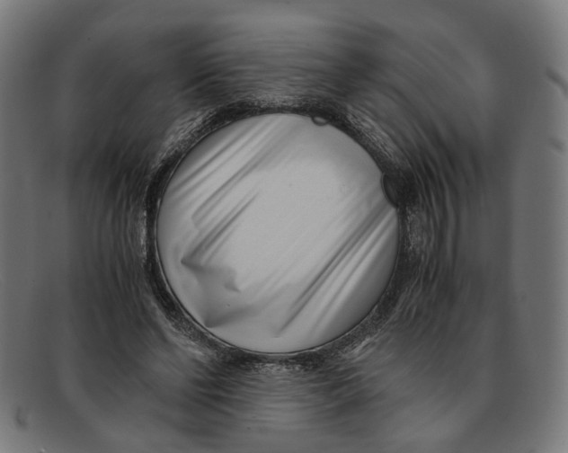 X0000091450494200709131718