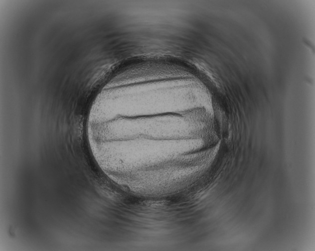 X0000091450495200709131718