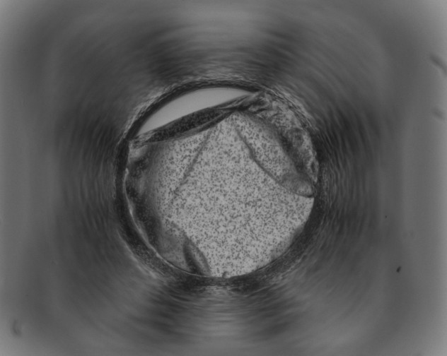 X0000091450496200709131718