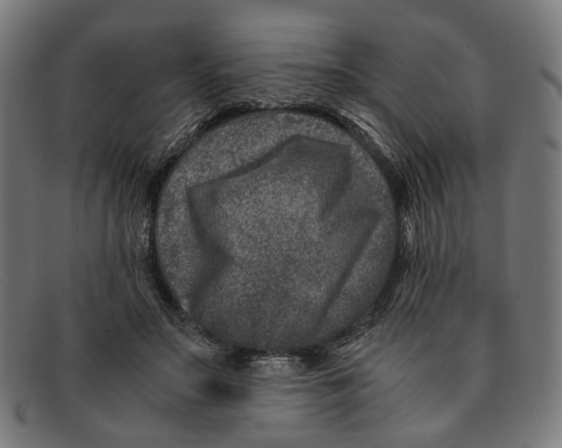 X0000091450499200709131718