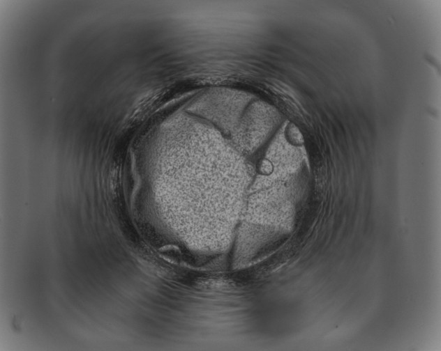 X0000091450503200709131718