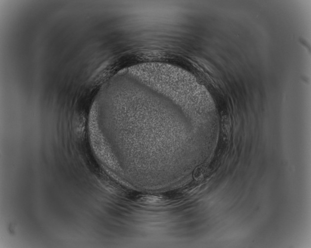 X0000091450507200709131718