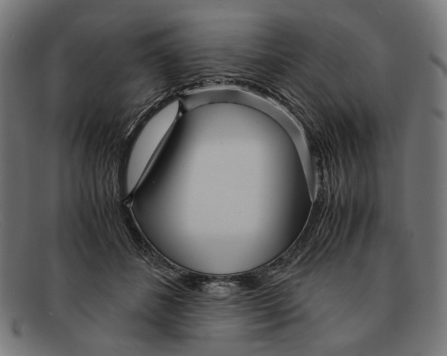 X0000091450508200709131718