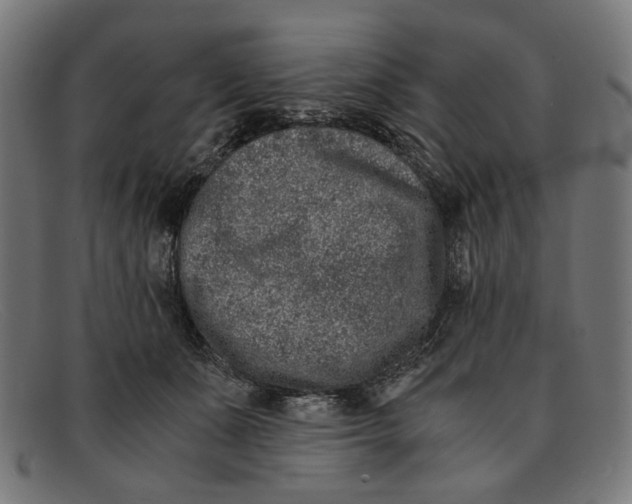 X0000091450511200709131718