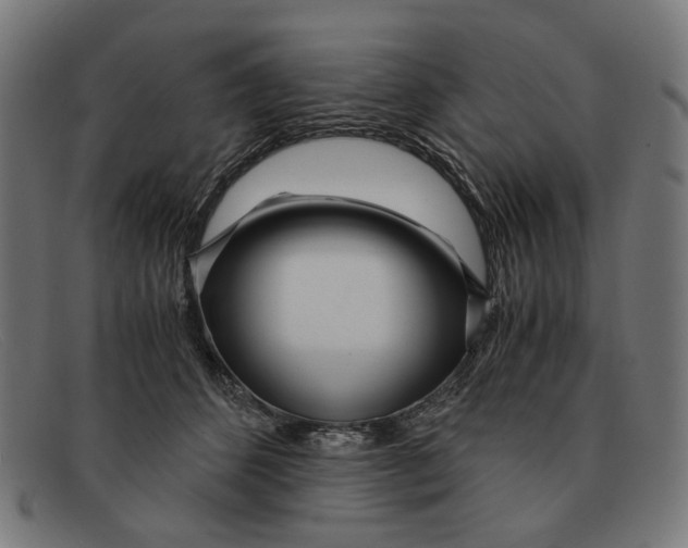 X0000091450512200709131718