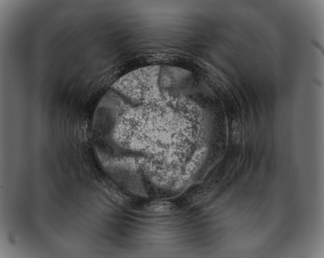 X0000091450514200709131717