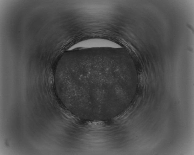 X0000091450517200709131717