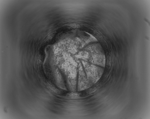 X0000091450518200709131717