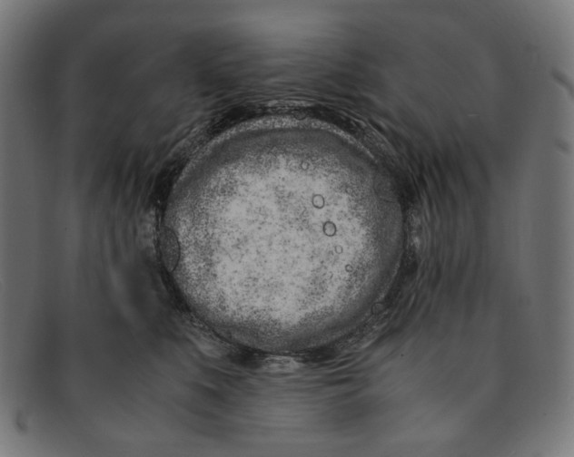 X0000091450519200709131717