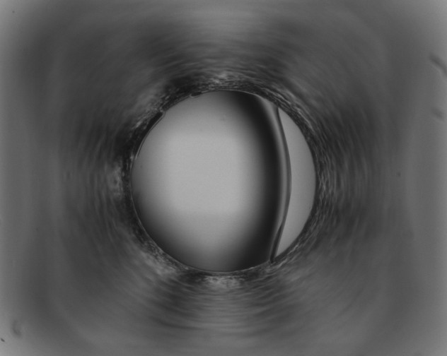 X0000091450520200709131717