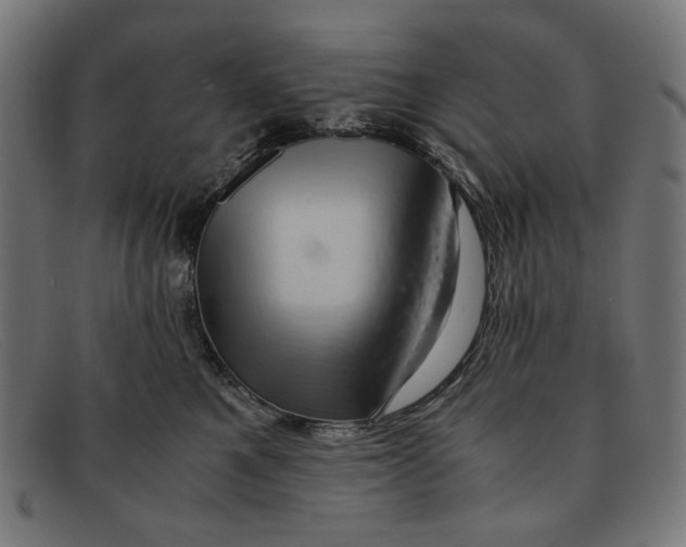 X0000091450521200709131717