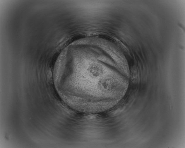 X0000091450523200709131717