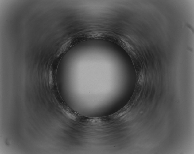 X0000091450524200709131717