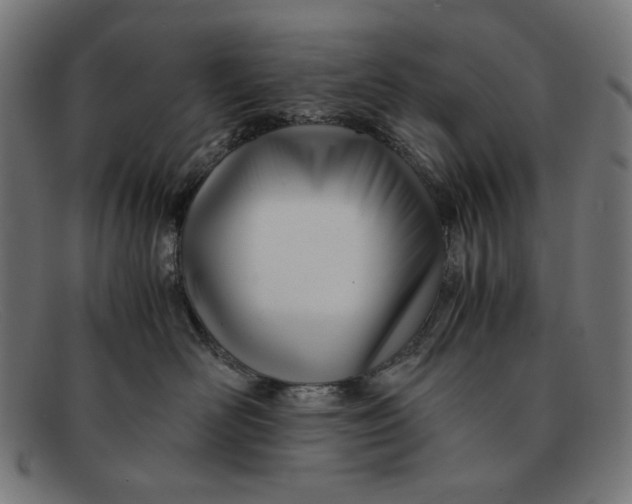 X0000091450526200709131717
