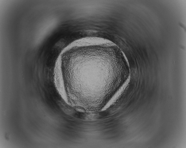 X0000091450527200709131717