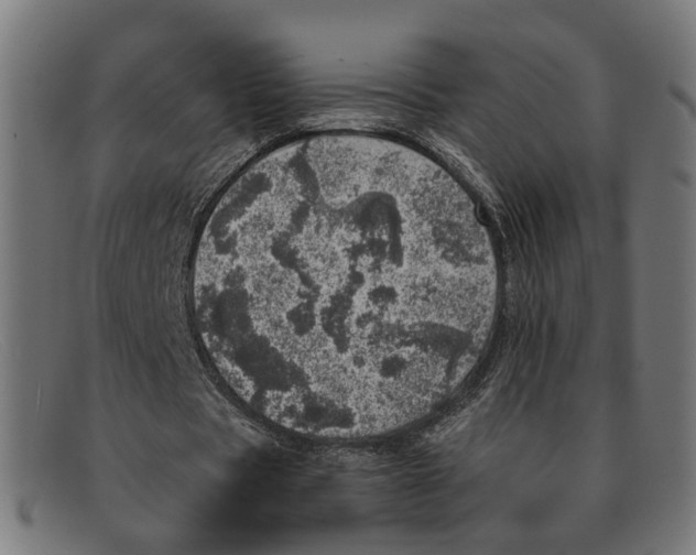 X0000091450529200709131717