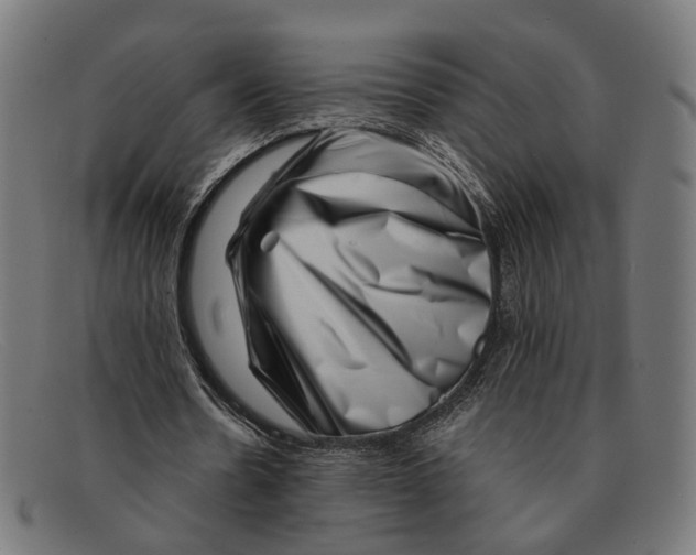 X0000091450530200709131717