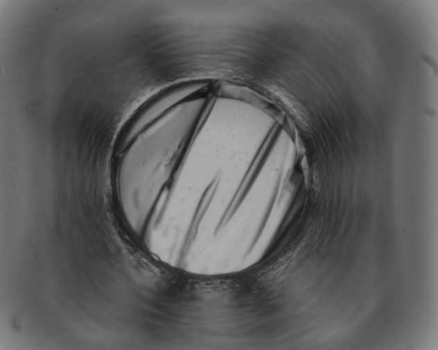 X0000091450532200709131717