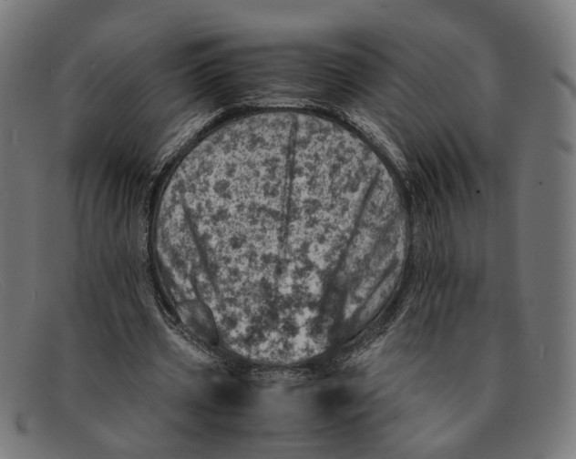 X0000091450533200709131717