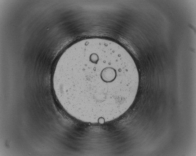 X0000091450534200709131717