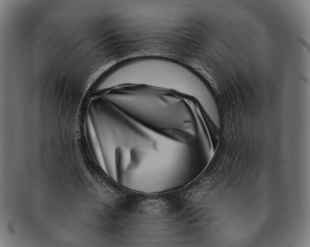 X0000091450536200709131717