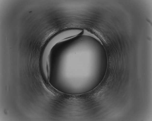X0000091450538200709131717