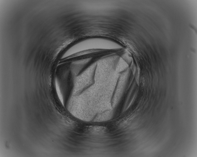 X0000091450539200709131717
