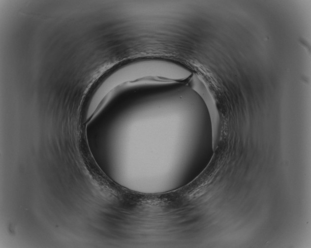 X0000091450540200709131717