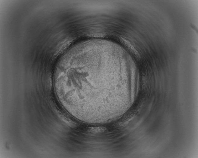 X0000091450541200709131717