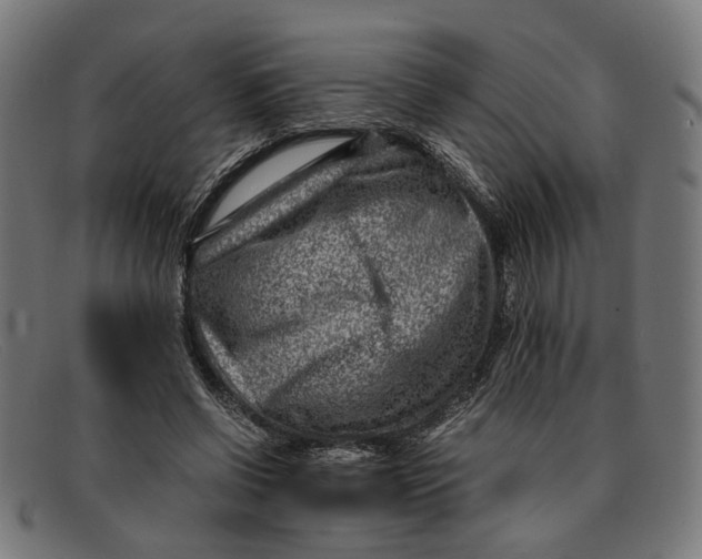 X0000091450542200709131717