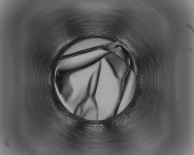 X0000091450543200709131717