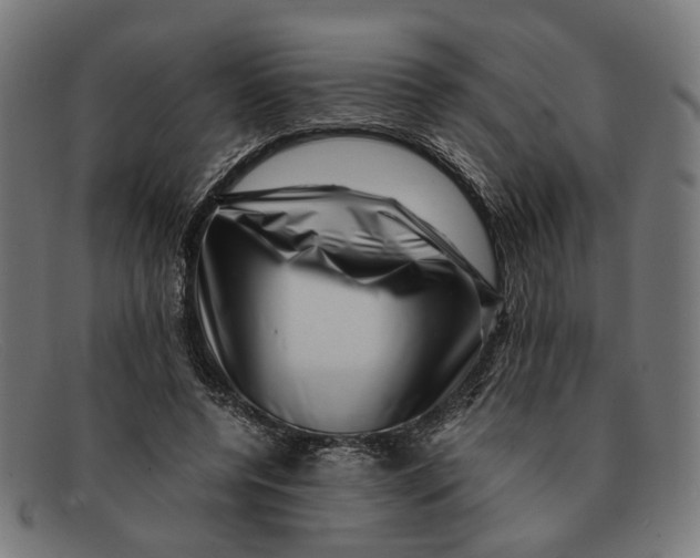 X0000091450544200709131717